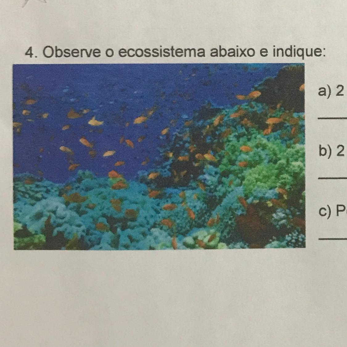 4. Observe o ecossistema abaixo e indique:a) 2 fatores bióticos observados:b) 2 fatores abióticos:c) Por suas caracteristicas, es