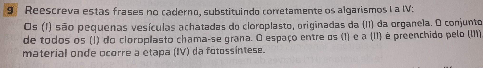 rescreva estas frases no caderno substituindo corretamente os algarismo ​