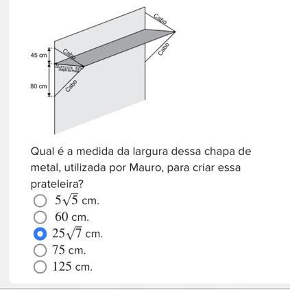 Mauro utilizou uma fina chapa retangular de metal, de espessura desprezível, para criar uma prateleira. Ele fixou essa chapa em um sentido perpe